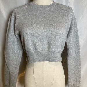 Gray Aritzia sweatshirt